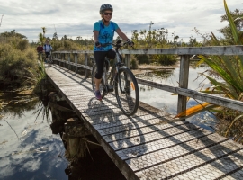 West Coast Wilderness Trail Shuttle & Bike Hire Greymouth