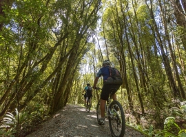 West Coast Wilderness Trail Shuttle & Bike Hire Greymouth