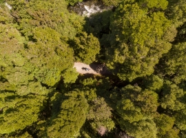 West Coast Wilderness Trail Shuttle & Bike Hire Greymouth