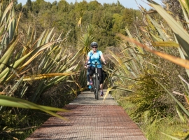 West Coast Wilderness Trail Shuttle & Bike Hire Greymouth
