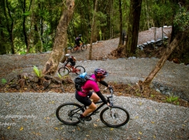 West Coast Wilderness Trail Shuttle & Bike Hire Greymouth